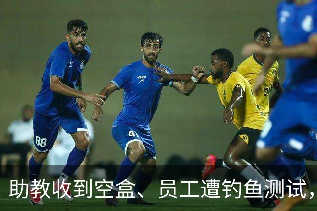 助教收到空盒、员工遭钓鱼测试，尼克斯发声明回应