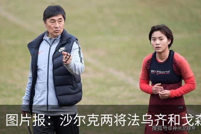 图片报：沙尔克两将法乌齐&戈森斯严重撞伤，将缺席杯赛